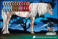Horse Color:White Spotted Liver Chestnut Pearl Mushroom  and White Spotted Liver Chestnut Pearl Mushroom 
