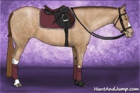 Horse Color:Bay Pearl Brindle