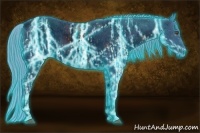 Horse Color:ERROR: UNKNOWN ANOMALY and ERROR: UNKNOWN ANOMALY