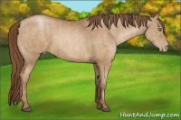Horse Color:Bay Pearl Brindle