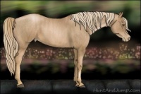 Horse Color:Liver Chestnut Pearl  Brindle