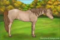Horse Color:Liver Chestnut Pearl  and Liver Chestnut Pearl 