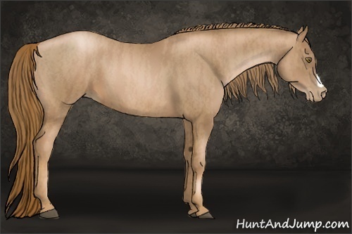 Horse Color:Liver Chestnut Pearl  Brindle
