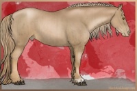 Horse Color:Liver Chestnut Pearl and Liver Chestnut Pearl