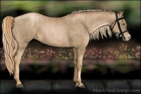 Horse Color:Liver Chestnut Pearl Brindle