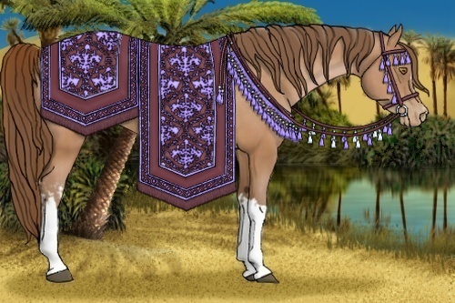 Horse Color:Bay Pearl  and Bay Pearl 