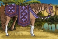 Horse Color:Bay Pearl  and Bay Pearl 