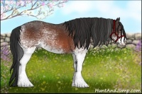 Horse Color:White Spotted Bay 