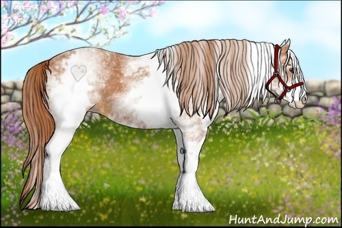 Horse Color:White Spotted Chestnut