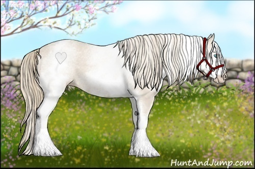 Horse Color:White Spotted Smoky Creme