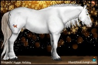 Horse Color:Liver Red Roan Pearl Blanket Rabicano  and Liver Red Roan Pearl Blanket Rabicano 