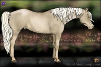 Horse Color:Liver Chestnut Pearl  Brindle