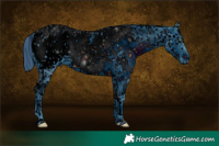 Horse Color:ERROR: UNKNOWN ANOMALY and ERROR: UNKNOWN ANOMALY