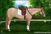 Horse Color:Liver Chestnut Pearl and Liver Chestnut Pearl