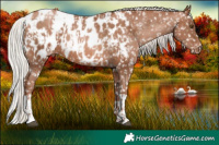 Horse Color:Chocolate Silver Brown Pearl Blanket  and Chocolate Silver Brown Pearl Blanket 