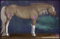 Horse Color:White Spotted Chocolate Silver Brown Dun Sabino 