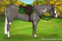 Horse Color:White Spotted Silver Black Splash