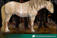 Horse Color:Plaid Black Pearl Sabino and Plaid Black Pearl Sabino