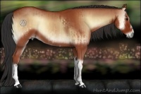 Horse Color:Bay Onyx  and Bay Onyx 
