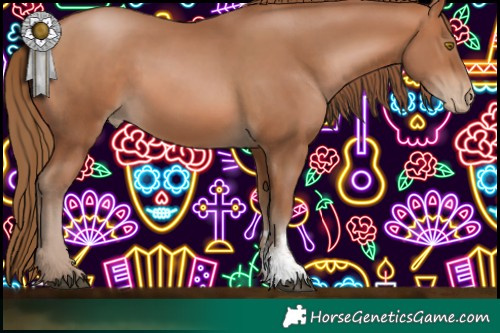 Horse Color:Bay Pearl Sabino Rabicano 