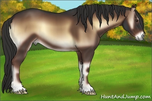 Horse Color:Liver Red Onyx 