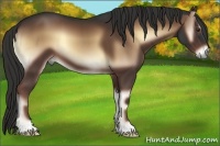 Horse Color:Liver Red Onyx 
