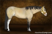 Horse Color:Buckskin Dun Sabino 
