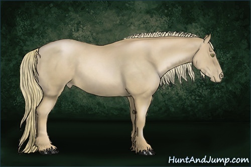 Horse Color:Chestnut Pearl