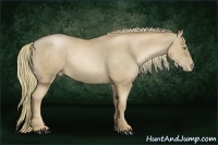 Horse Color:Chestnut Pearl 