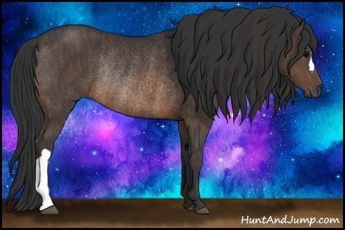 Horse Color:Brown Rabicano Brindle