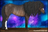Horse Color:Brown Rabicano Brindle