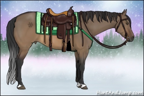 Horse Color:Brown Dun 