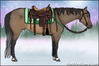 Horse Color:Brown Dun 
