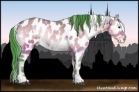 Horse Color:Watercolor White Spotted Bay Onyx Appaloosa 