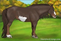 Horse Color:Liver Chestnut Frame 
