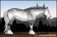 Horse Color:White Spotted Silver Brown Chinchilla Onyx 