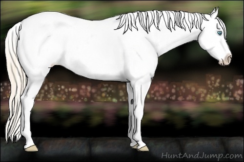 Horse Color:White Spotted Perlino Dun Sabino Varnish 