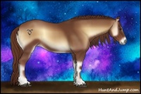 Horse Color:Red Onyx 