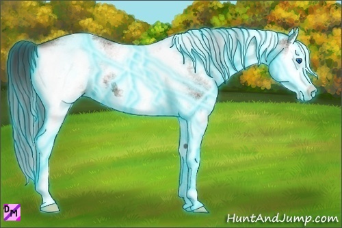 Horse Color:Thunderstruck White Spotted Bay Splash