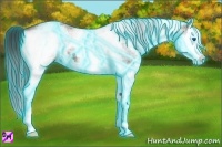 Horse Color:Thunderstruck White Spotted Bay Splash 