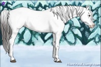 Horse Color:Liver Red Roan Appaloosa 