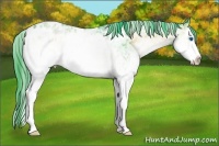 Horse Color:Watercolor White Spotted Brown Onyx Splash Appaloosa Rabicano