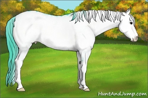 Horse Color:Watercolor White Spotted Brown Onyx Varnish