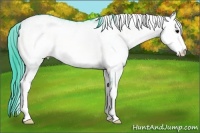 Horse Color:Watercolor White Spotted Brown Onyx Varnish 