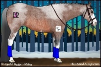Horse Color:Bay Roan Sabino 