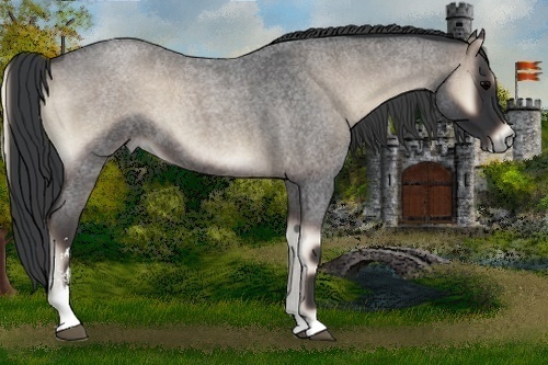 Horse Color:Blue Onyx Roan Sabino 