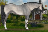 Horse Color:Blue Onyx Roan Sabino 