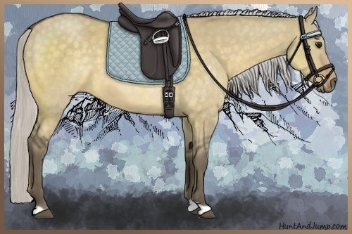 Horse Color:Silver Buckskin Dun 