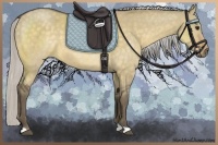 Horse Color:Silver Buckskin Dun