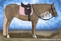 Horse Color:Chocolate Palomino 
